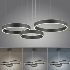 Luminaires Paul Neuhaus Suspensions|Suspension Paul Neuhaus SCULLI LED Noir, 2 lumières