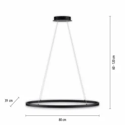 Luminaires Paul Neuhaus Éclairage Led|Suspension Paul Neuhaus TITUS LED Anthracite, 1 lumière