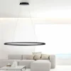 Luminaires Paul Neuhaus Éclairage Led|Suspension Paul Neuhaus TITUS LED Anthracite, 1 lumière