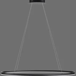 Luminaires Paul Neuhaus Éclairage Led|Suspension Paul Neuhaus TITUS LED Anthracite, 1 lumière