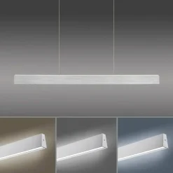 Luminaires Paul Neuhaus Suspensions|Suspension Paul-Neuhaus NANIA LED Argenté, 1 lumière