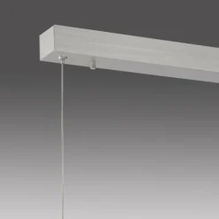 Luminaires Paul Neuhaus Suspensions|Suspension Paul-Neuhaus NANIA LED Argenté, 1 lumière