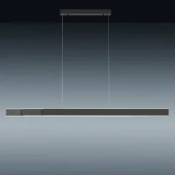 Luminaires Paul Neuhaus Éclairage Led|Suspension Paul-Neuhaus PURE-LUME LED Anthracite, 6 lumières