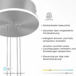 Suspension Paul-Neuhaus Q-ETIENNE LED Acier brossé, 2 lumières, Télécommandes