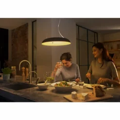 Suspension Philips Hue Ambiance White Amaze LED Noir, 1 lumière, Télécommandes