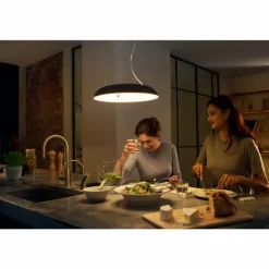 Suspension Philips Hue Ambiance White Amaze LED Noir, 1 lumière, Télécommandes