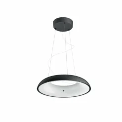 Suspension Philips Hue Ambiance White Amaze LED Noir, 1 lumière, Télécommandes