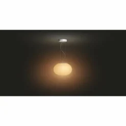 Suspension Philips Hue Ambiance White & Color Flourish LED Blanc, 1 lumière, Changeur de couleurs