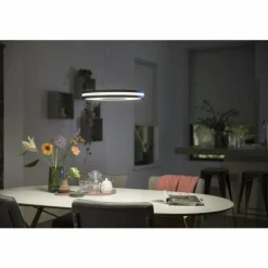 Suspension Philips Hue Being LED Noir, 1 lumière, Télécommandes