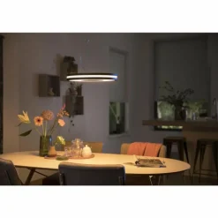 Suspension Philips Hue Being LED Noir, 1 lumière, Télécommandes
