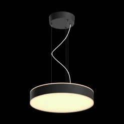Suspension Philips Hue Enrave LED Noir, 1 lumière, Télécommandes