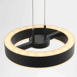 Luminaires Steinhauer Éclairage Led|Suspension Steinhauer Piola LED Noir, 2 lumières