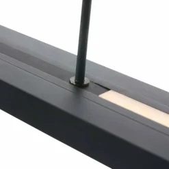 Luminaires Steinhauer Éclairage Led|Suspension Steinhauer Zelena LED Noir, 1 lumière