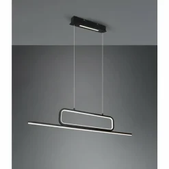 Luminaires Trio Suspensions|Suspension Trio Aick LED Noir, 1 lumière