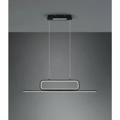 Luminaires Trio Suspensions|Suspension Trio Aick LED Noir, 1 lumière
