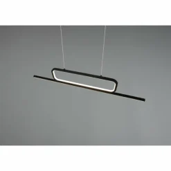 Luminaires Trio Suspensions|Suspension Trio Aick LED Noir, 1 lumière