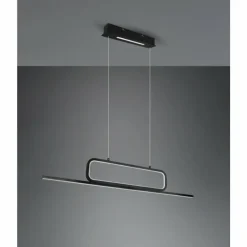 Luminaires Trio Suspensions|Suspension Trio Aick LED Noir, 1 lumière