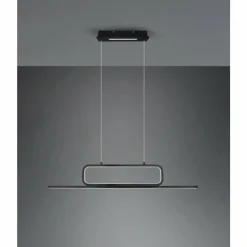 Luminaires Trio Suspensions|Suspension Trio Aick LED Noir, 1 lumière