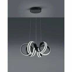 Luminaires Trio Éclairage Led|Suspension Trio Leuchten CARRERA LED Noir, 1 lumière