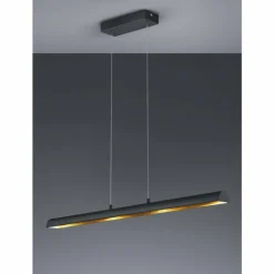 Luminaires Trio Suspensions|Suspension Trio RAMIRO LED Noir, 4 lumières
