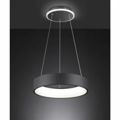 Luminaires Wofi Éclairage Led|Suspension Wofi-Leuchten SHAY LED Noir, 1 lumière