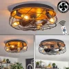 Tourais Plafonnier, Ventilateur de plafond lumineux LED Couleur bois, Noir, 4 lumières, Télécommandes
