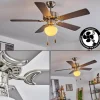 Ventilateur de plafond Apiao Brun, Couleur bois, Argenté, 1 lumière