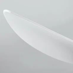 Ventilateur de plafond Malloa LED Blanc, 1 lumière, Télécommandes
