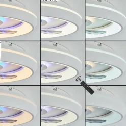 Ventilateur de plafond Tirkkala LED, 1 lumière