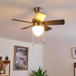 Ventilateur de plafond Ellmau Chrome, Gris, Blanc, 1 lumière