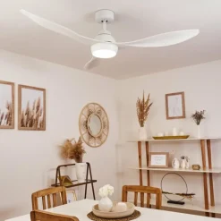 Ventilateur de plafond Follseland LED Blanc, 1 lumière, Télécommandes