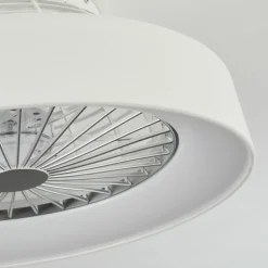 Ventilateur de plafond Moli LED Blanc, 1 lumière, Télécommandes