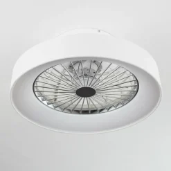 Ventilateur de plafond Moli LED Blanc, 1 lumière, Télécommandes