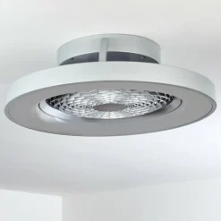 Ventilateur de plafond Penon LED Argenté, 1 lumière, Télécommandes
