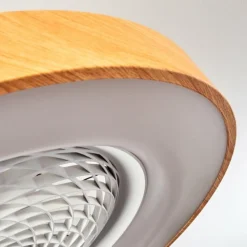 Ventilateur de plafond Penon LED Blanc, 1 lumière, Télécommandes