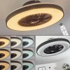 Ventilateur de plafond Qualiano LED Noir, Blanc, 1 lumière, Télécommandes
