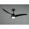 Ventilateur de plafond Reality Alesund LED Noir, 1 lumière, Télécommandes