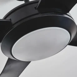 Ventilateur de plafond Tjerne LED Noir, 1 lumière