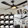 Ventilateur de plafond Tjerne LED Noir, 1 lumière, Télécommandes