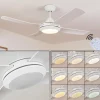 Ventilateur de plafond Tjerne LED Blanc, 1 lumière, Télécommandes