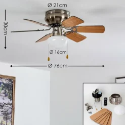 Ventilateur de plafond Trillo Nickel mat, 1 lumière