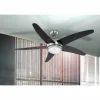 Ventilateur Globo FABIOLA Acier inoxydable, Nickel mat, 1 lumière, Télécommandes