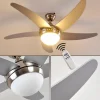 Ventilateurs de Plafond Morino Nickel mat, Argenté, 2 lumières, Télécommandes