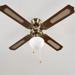 Ventilateurs de Plafond Morea Vieux laiton, Bois foncé, 1 lumière