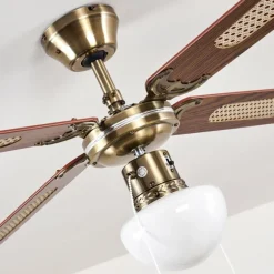 Ventilateurs de Plafond Morea Vieux laiton, Bois foncé, 1 lumière